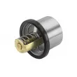 Thermostat d'eau WAHLER 4619.75 - Visuel 3