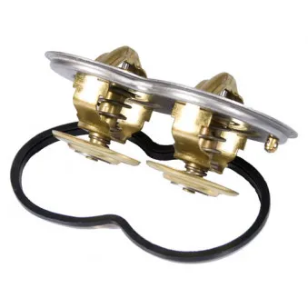 Thermostat d'eau WAHLER 411004.80D