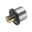 Thermostat d'eau WAHLER 411133.80D - Visuel 3