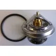 Thermostat d'eau WAHLER 4105.71D - Visuel 2