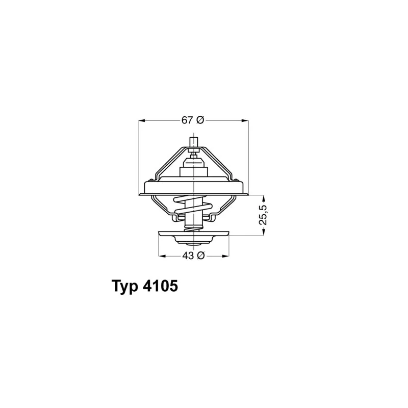 Thermostat d'eau WAHLER 4105.79D
