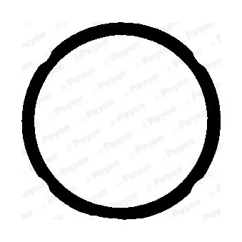 Joint d'étanchéité, culasse PAYEN