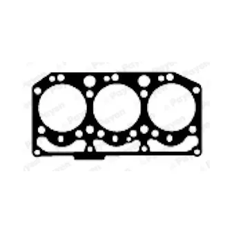 Joint d'étanchéité, culasse PAYEN