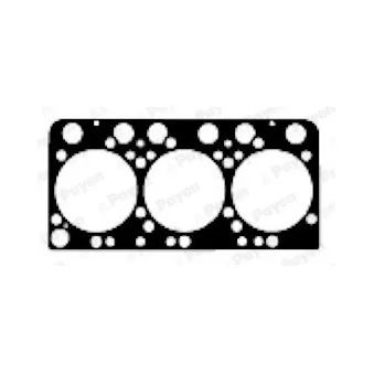 Joint d'étanchéité, culasse PAYEN