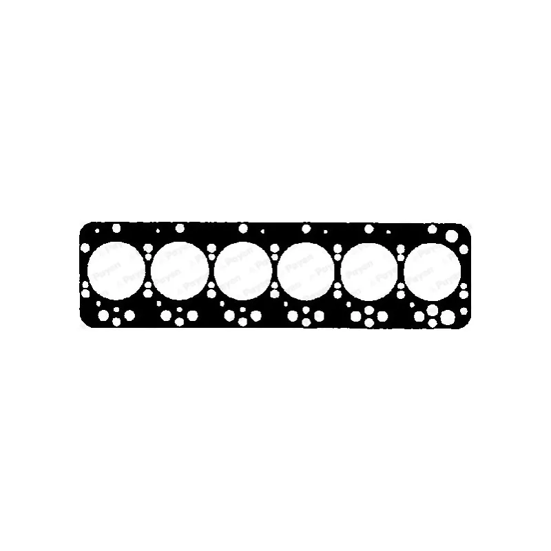 Joint d'étanchéité, culasse PAYEN BV710