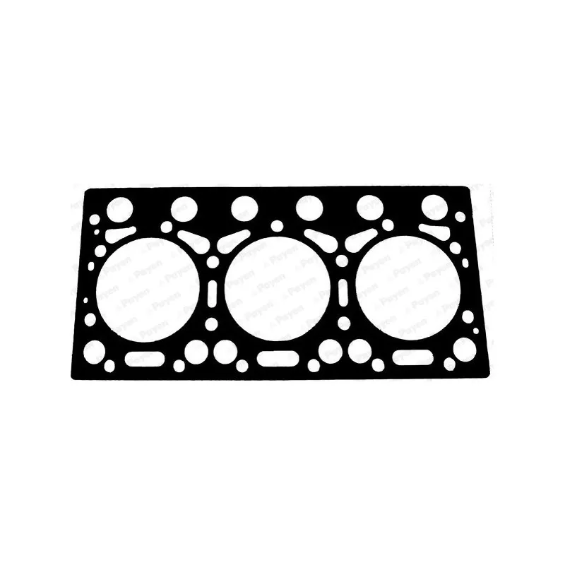 Joint d'étanchéité, culasse PAYEN BW050