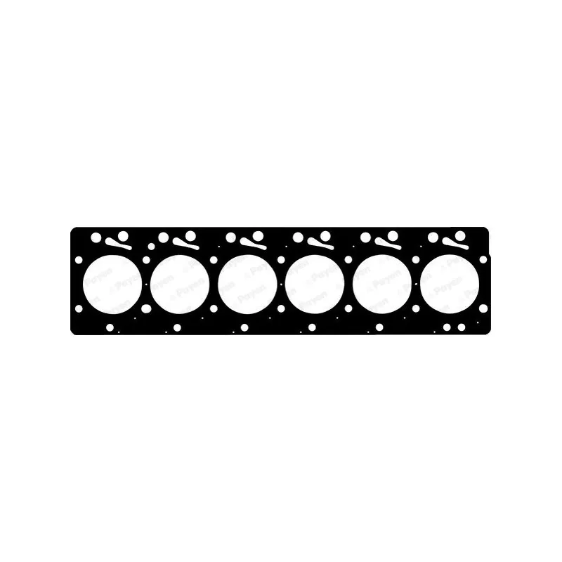 Joint d'étanchéité, culasse PAYEN BW530