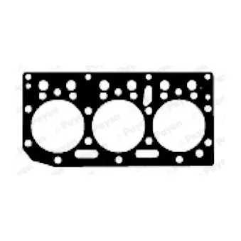 Joint d'étanchéité, culasse PAYEN