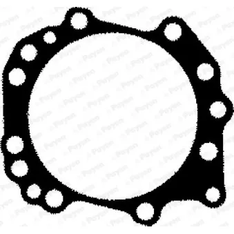 Joint d'étanchéité, culasse PAYEN