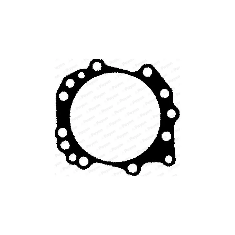 Joint d'étanchéité, culasse PAYEN BH790