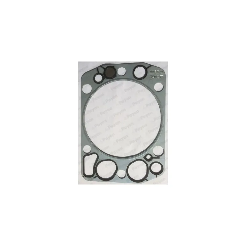 Joint d'étanchéité, culasse PAYEN BG850