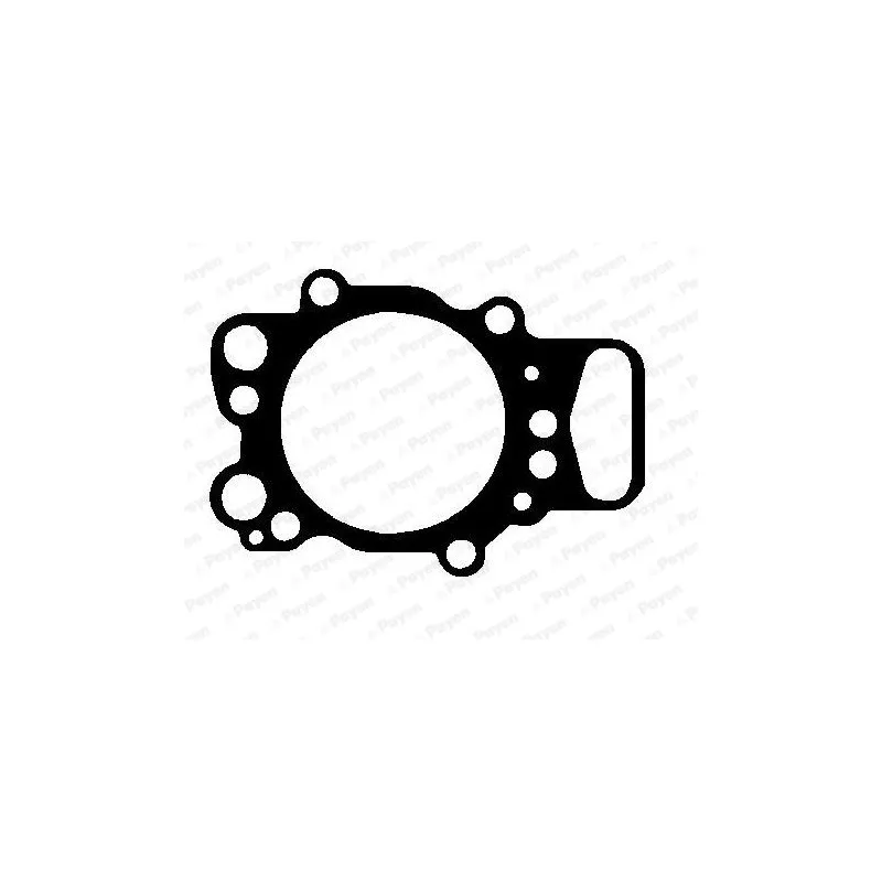 Joint d'étanchéité, culasse PAYEN AH6550