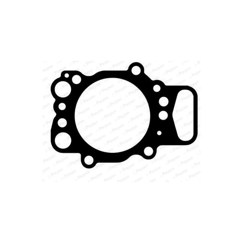 Joint d'étanchéité, culasse PAYEN AH5670