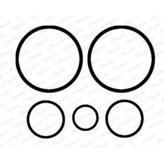 Joint d'étanchéité, culasse PAYEN