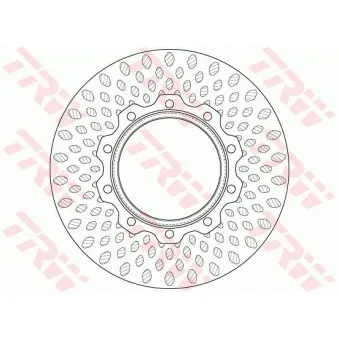Jeu de 2 disques de frein arrière TRW DF5019S