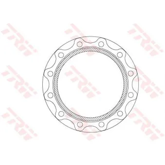 Jeu de 2 disques de frein arrière TRW