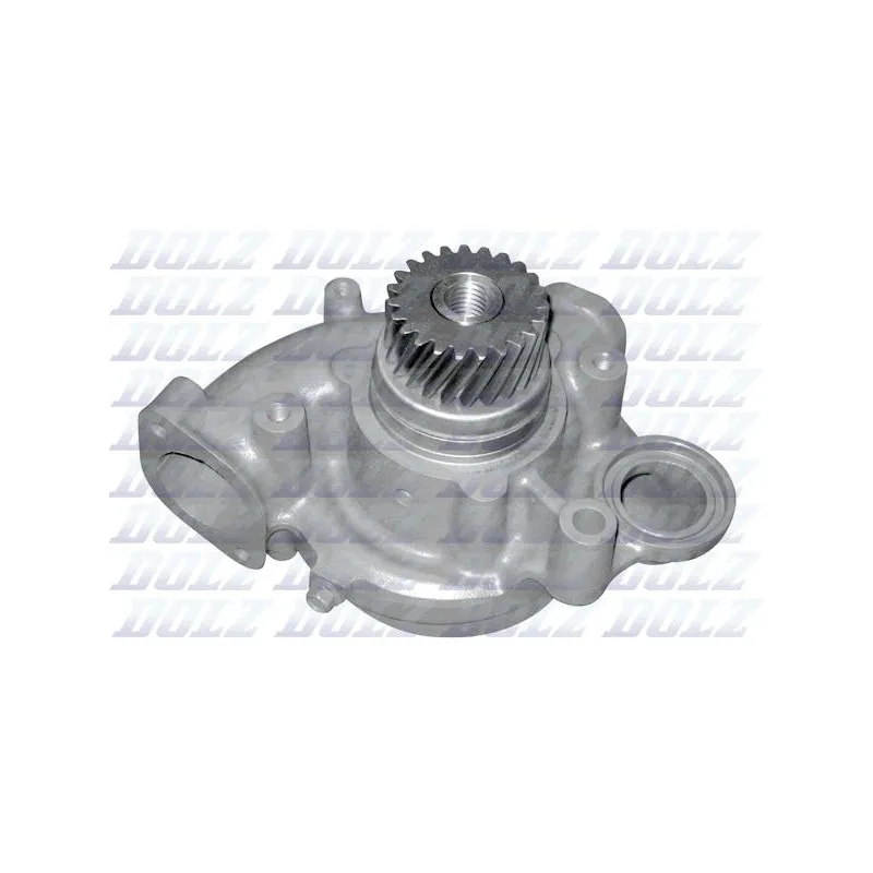 Pompe à eau DOLZ V200