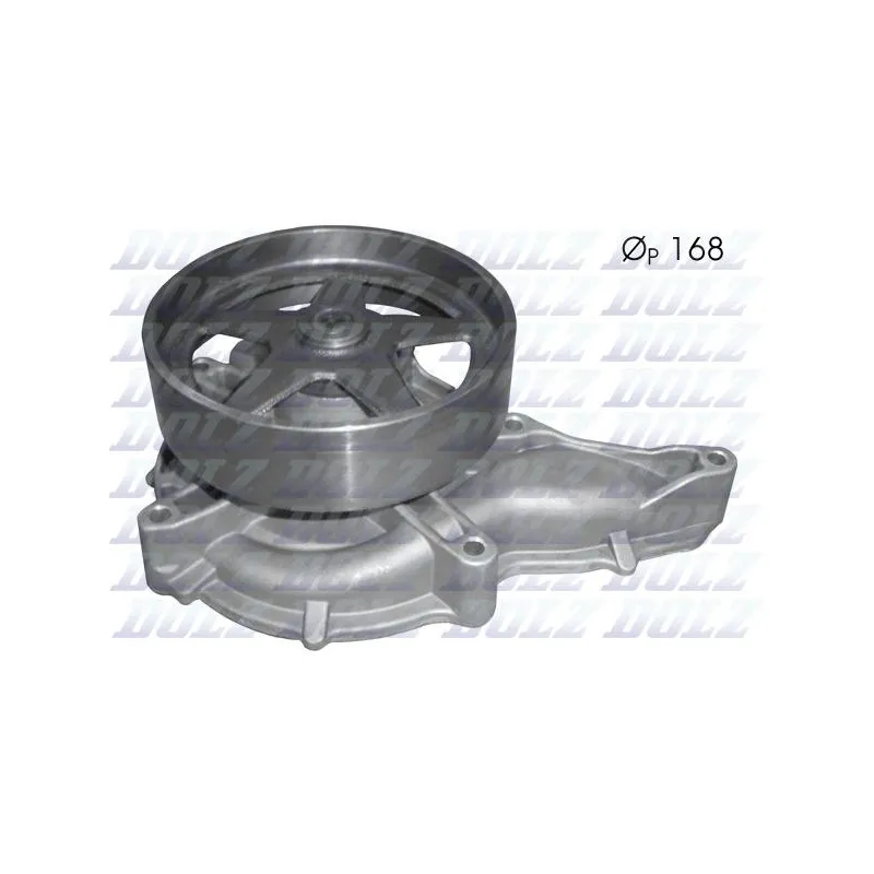 Pompe à eau DOLZ V208