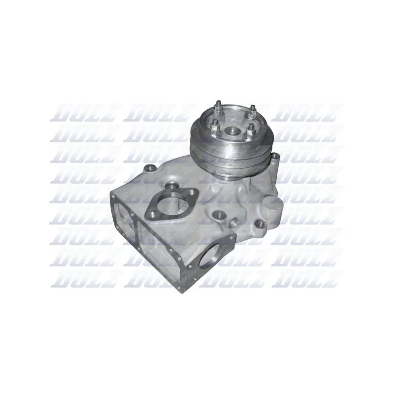 Pompe à eau DOLZ V206