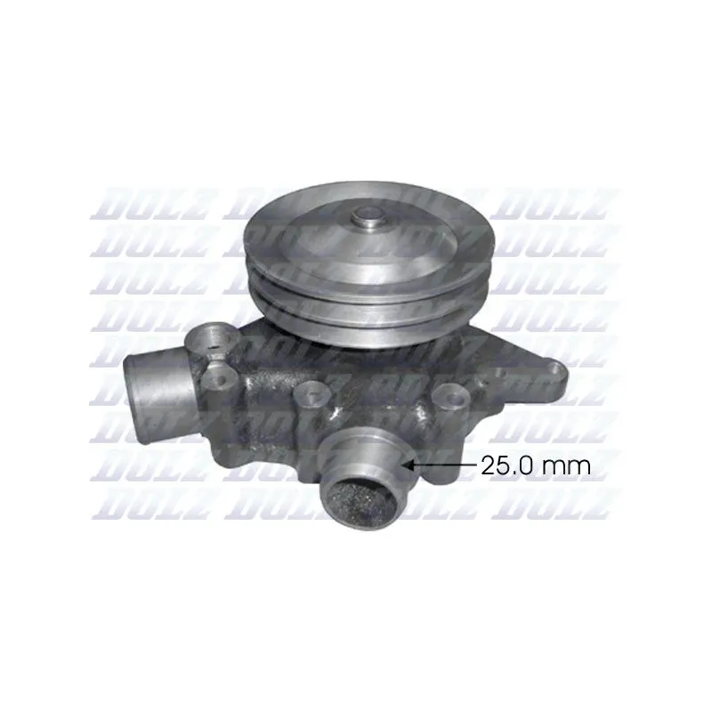 Pompe à eau DOLZ R613
