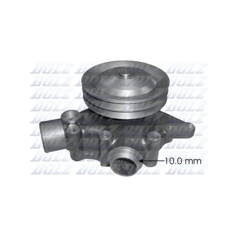 Pompe à eau DOLZ R614