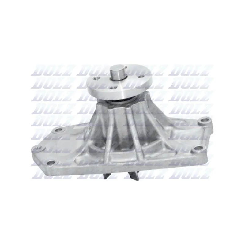 Pompe à eau DOLZ H232