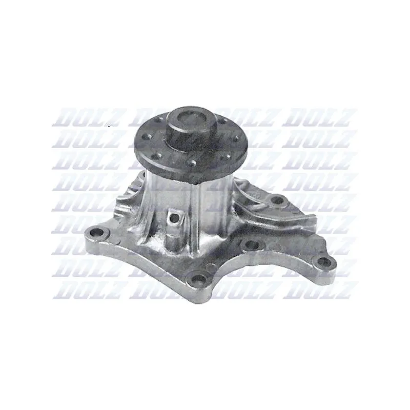 Pompe à eau DOLZ I208