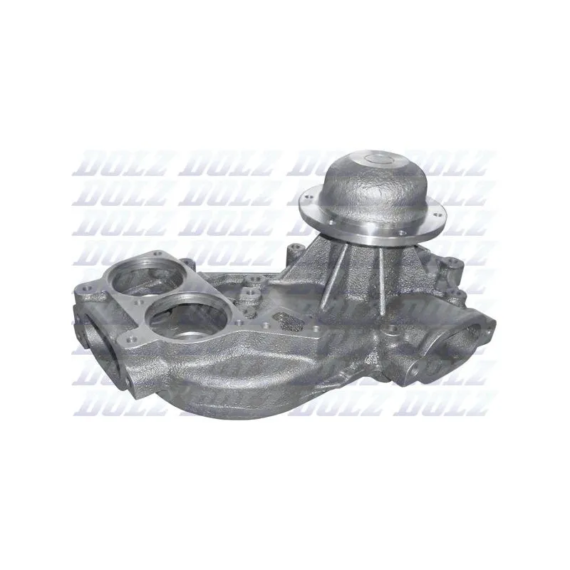 Pompe à eau DOLZ M650