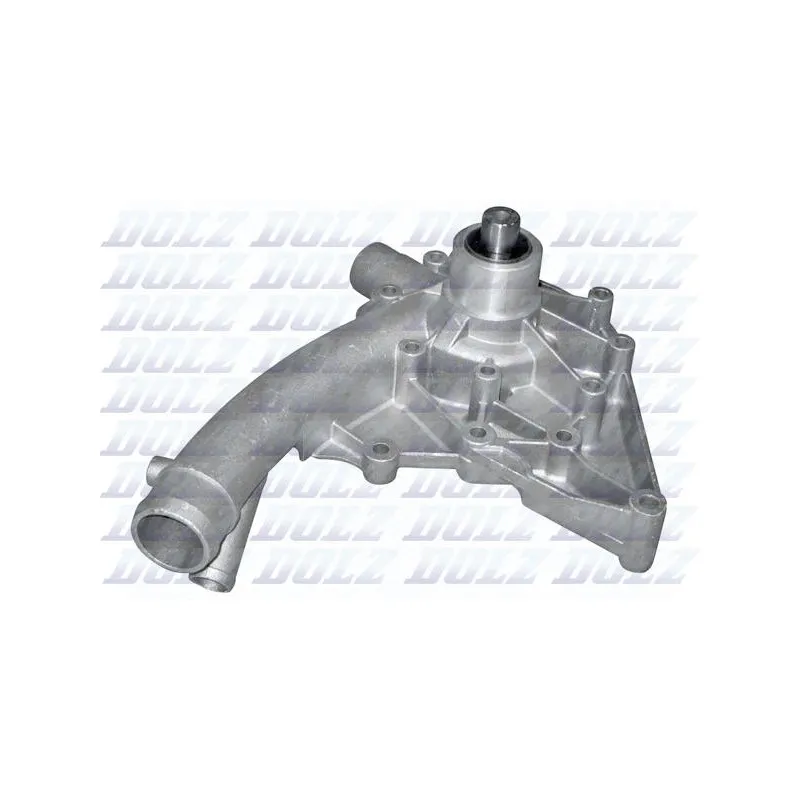 Pompe à eau DOLZ M173