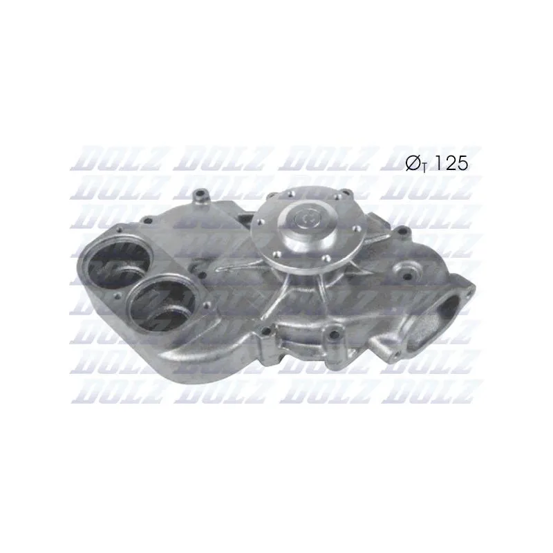 Pompe à eau DOLZ M178