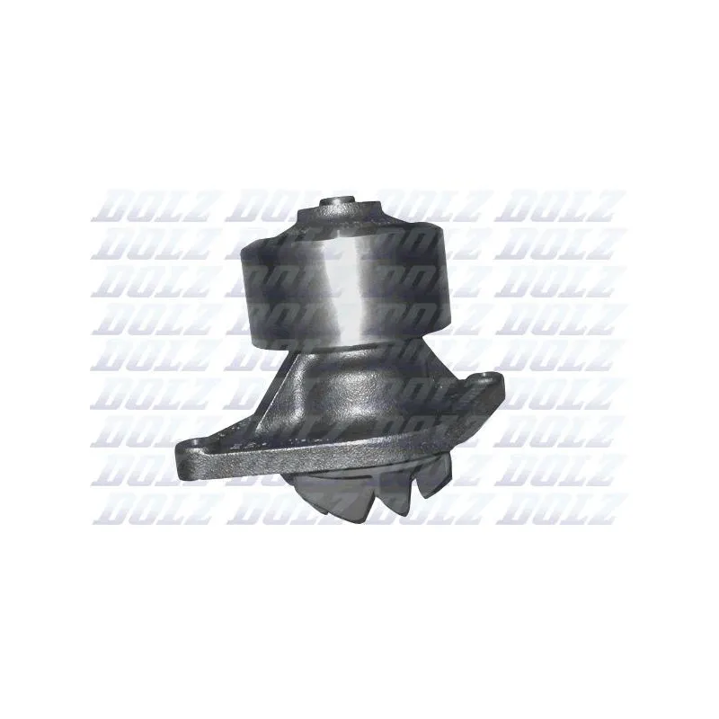 Pompe à eau DOLZ L216