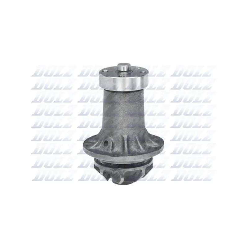 Pompe à eau DOLZ M183