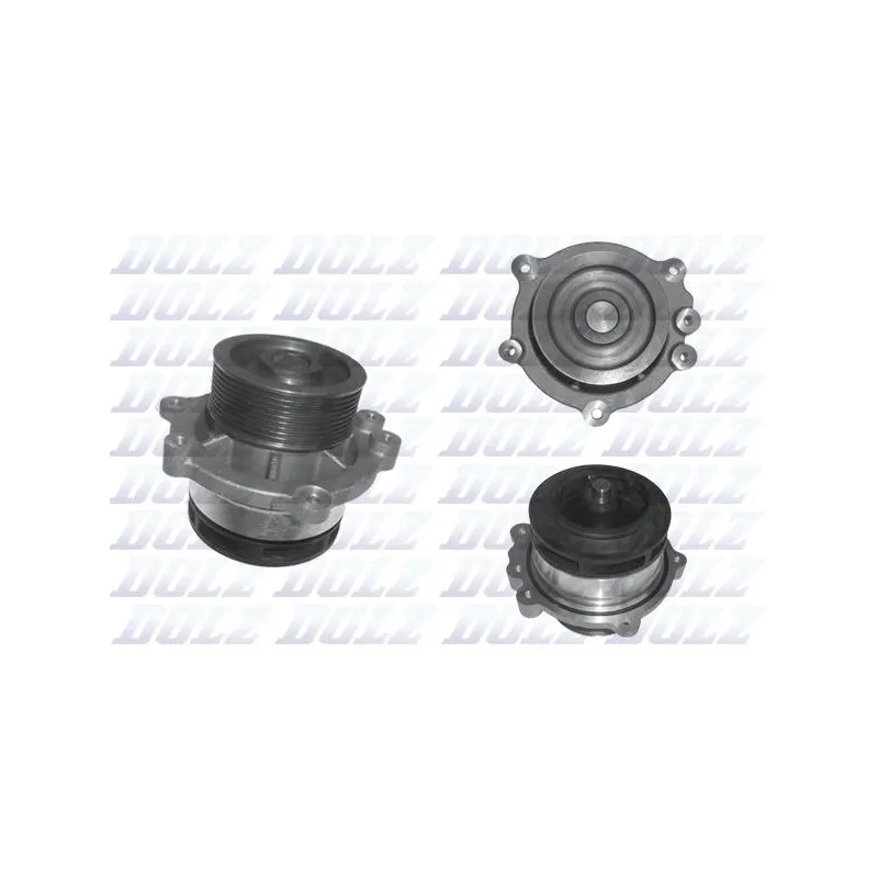 Pompe à eau DOLZ D204
