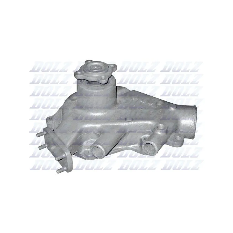 Pompe à eau DOLZ D202