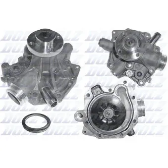 Pompe à eau DOLZ D250