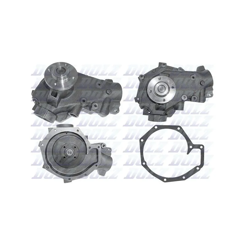 Pompe à eau DOLZ D205