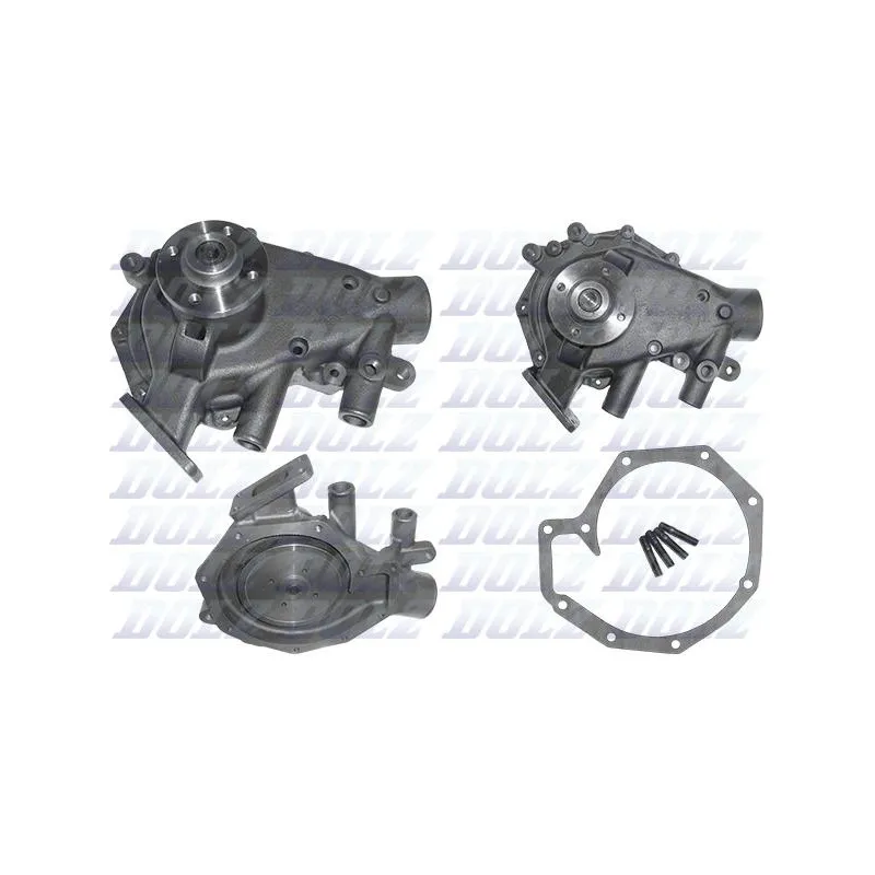 Pompe à eau DOLZ D206