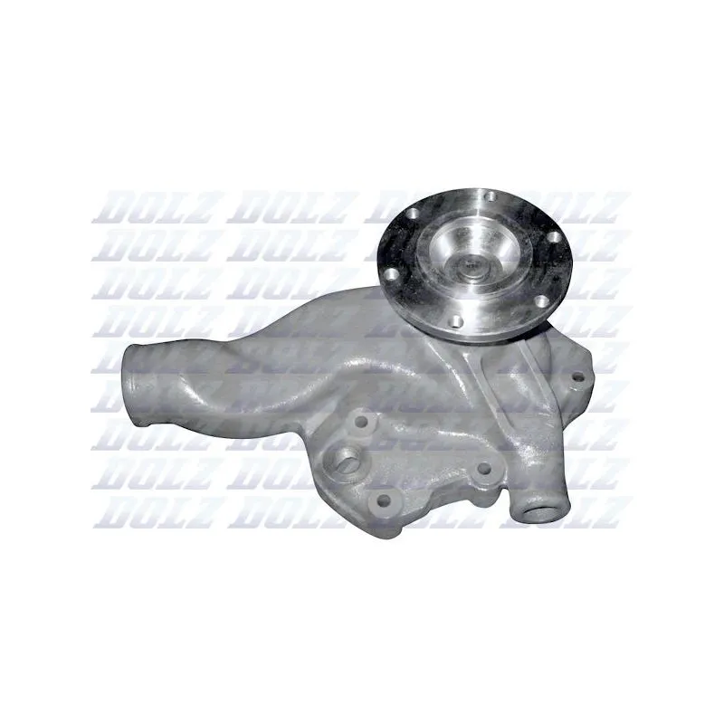 Pompe à eau DOLZ M302