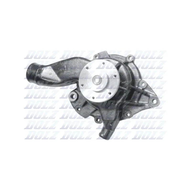 Pompe à eau DOLZ M303