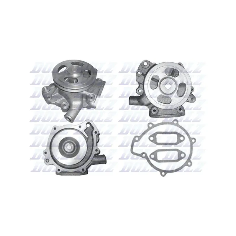 Pompe à eau DOLZ M308