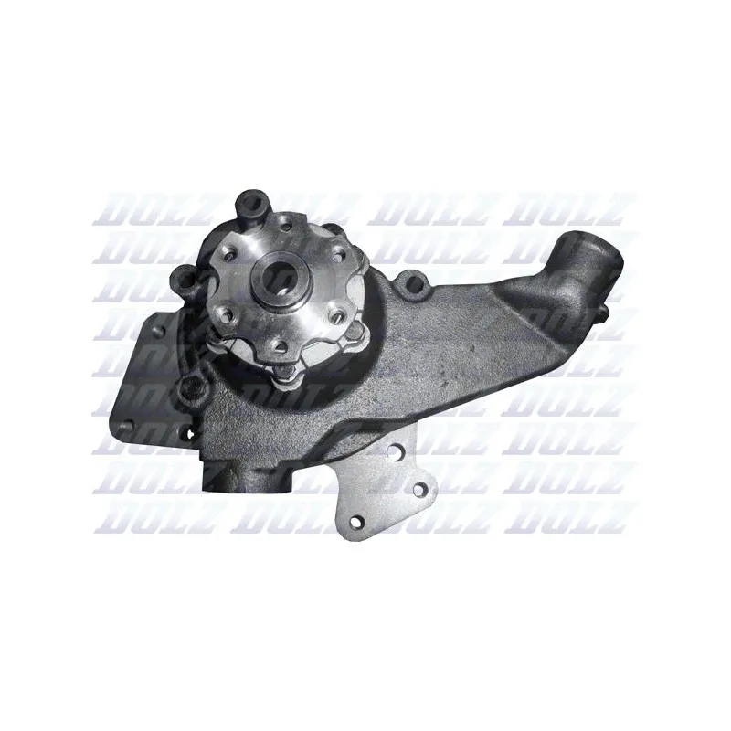 Pompe à eau DOLZ M610CT