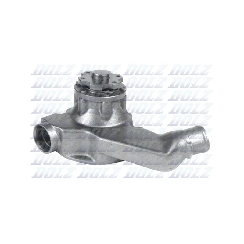 Pompe à eau DOLZ M610