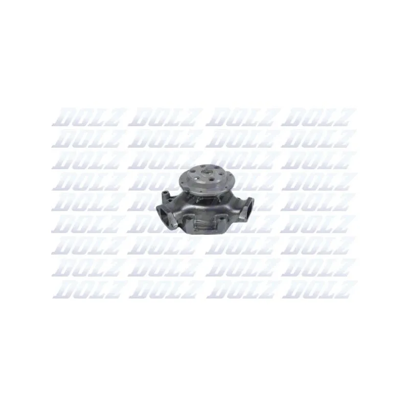 Pompe à eau DOLZ M614
