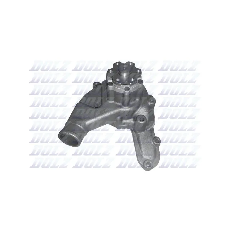 Pompe à eau DOLZ M611CT