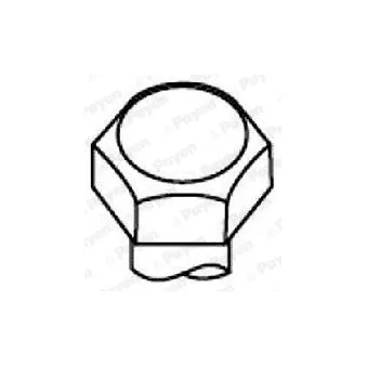 Jeu de boulons de culasse de cylindre PAYEN