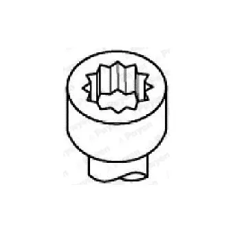 Jeu de boulons de culasse de cylindre PAYEN HBS018