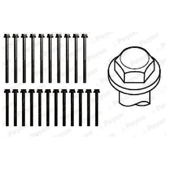 Jeu de boulons de culasse de cylindre PAYEN HBS011