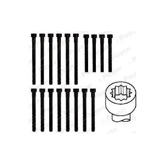 Jeu de boulons de culasse de cylindre PAYEN HBS045