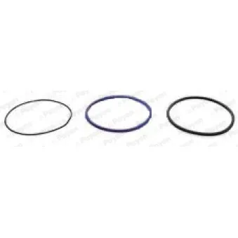 Jeu de joints d'étanchéité, chemise de cylindre PAYEN