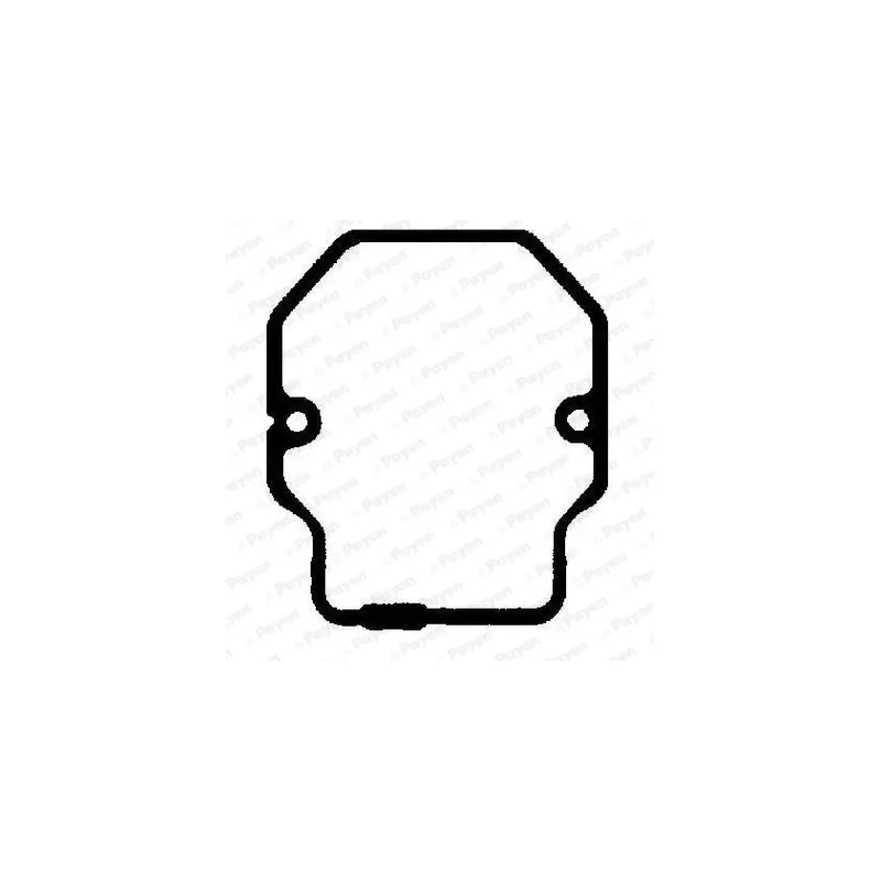 Joint de cache culbuteurs PAYEN JM7131